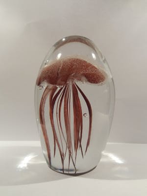 Niet of onleesbaar gesigneerd - 3D jellyfish Presse-papier Glow in the Dark kopen? Bied vanaf 1!