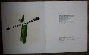 Arty Grimm - Zeefdruk met gedicht: 'De dichter en de dingen' - 1986 kopen? Bied vanaf 59!