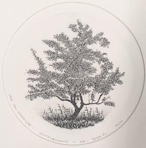 Jan van Winkel - Ets, Appelboompje kopen? Bied vanaf 1!