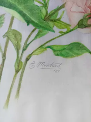 Niet of onleesbaar gesigneerd - Rozen kopen? Bied vanaf 1!