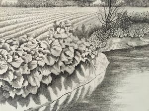 Toine Corstjens - Herenboerderij langs de Geul kopen? Bied vanaf 220!