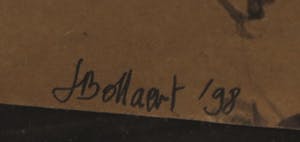 Jan Bollaert - Acryl op papier, Photomonde skunk - Ingelijst kopen? Bied vanaf 50!