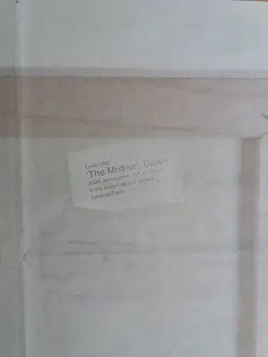 Erwin Olaf - The mother-Dawn, uitgave Het Parool kopen? Bied vanaf 1!