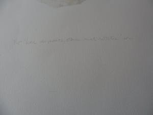 Rob Janssens - Litho, Titel. Twee verpakte stenen met mitella kopen? Bied vanaf 10!