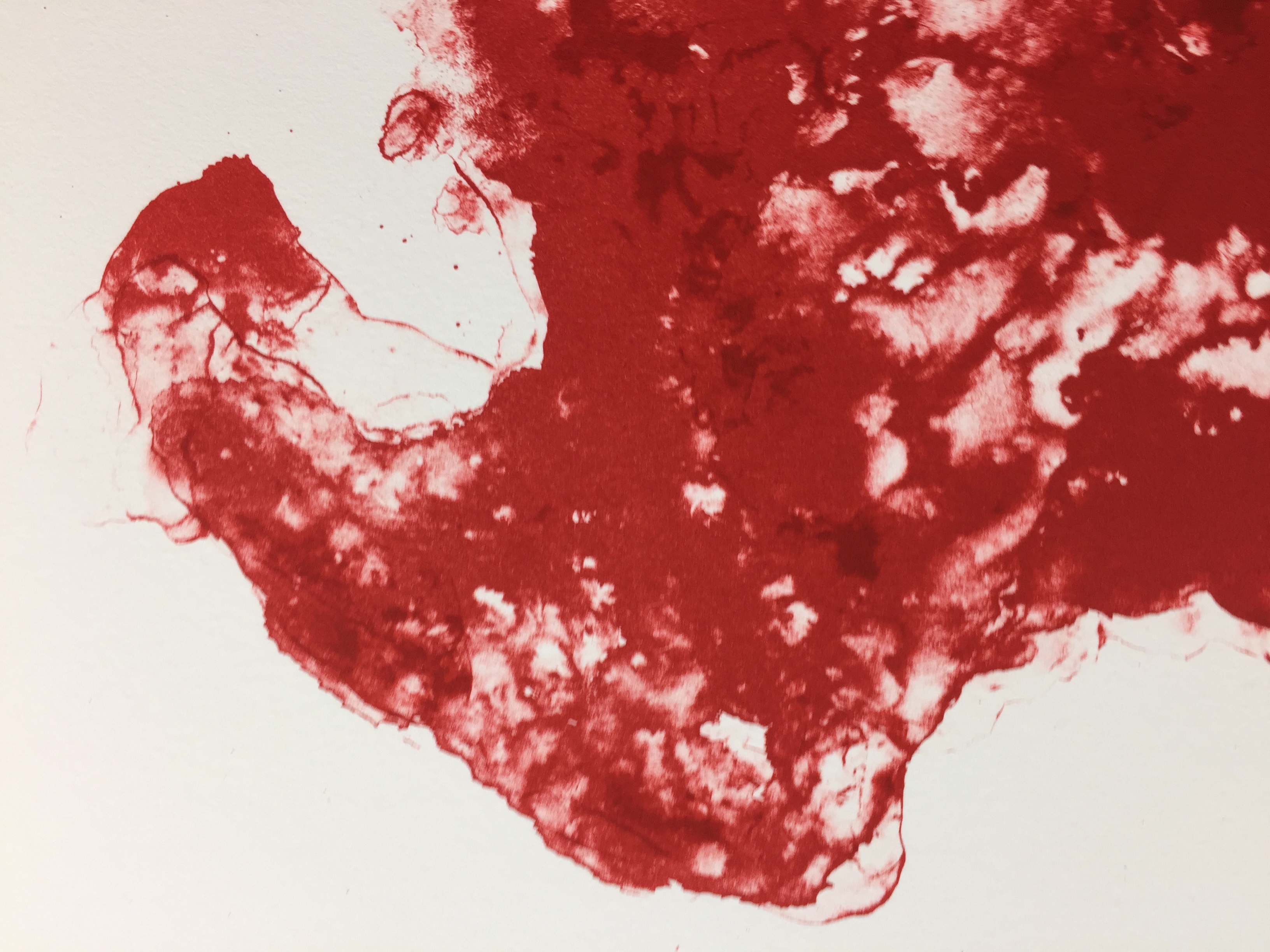 Armando - kleurenlitho, 'Der Kopf', 1989 kopen? Bied vanaf 379!