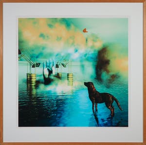 Arturo - Giclée, Vlinder - Ingelijst kopen? Bied vanaf 1!