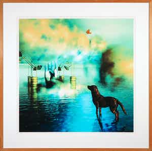 Arturo - Giclée, Vlinder - Ingelijst verkocht voor € 1!