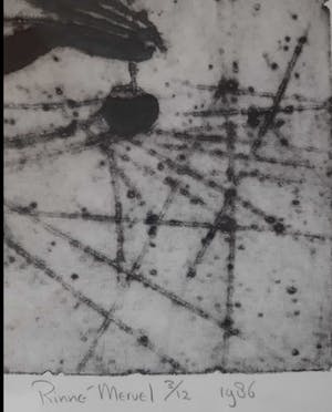 Rinne Mervel - Helikopter Kever kopen? Bied vanaf 50!