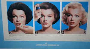 Joost Veerkamp - Ned.Filmdagen 1985: __Queen of the screen__ (grimeersessie Beatrix-Marilyn) kopen? Bied vanaf 85!