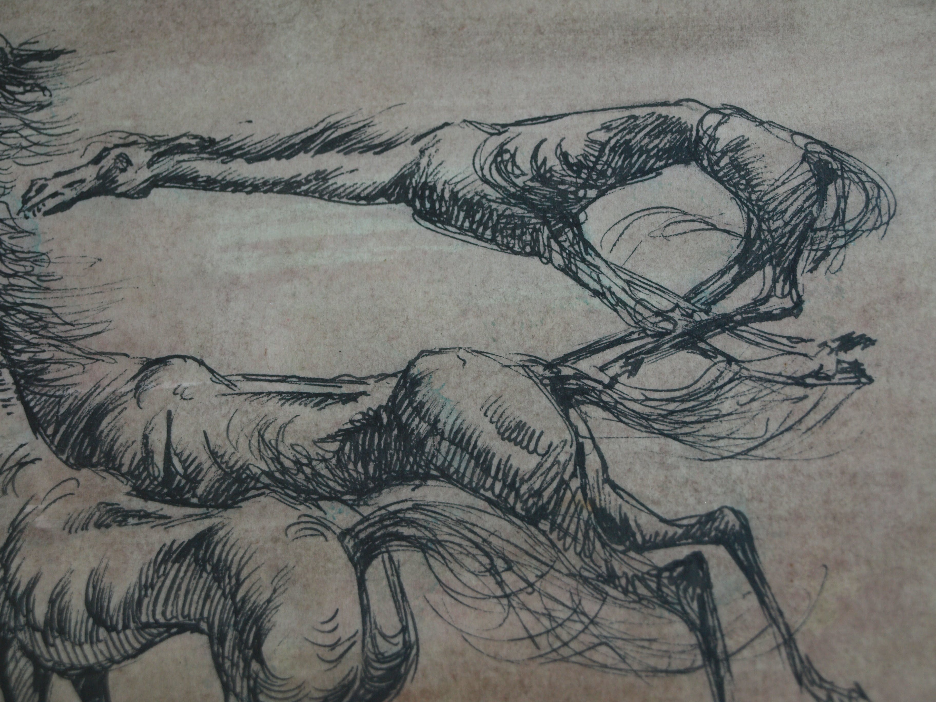 Klaas Pijlman - Pentekening , 3 Paarden – gesigneerd & ingelijst – 1966 kopen? Bied vanaf 35!