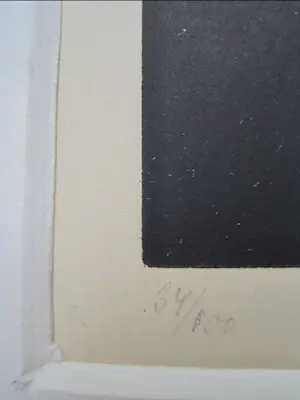 Niet of onleesbaar gesigneerd - Midzomernachtdroom kopen? Bied vanaf 1!