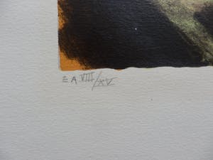 Herman Brood - Kleurenzeefdruk KING JAMMY,S Handgesigneerd. kopen? Bied vanaf 1!