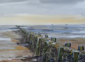 Franklin Meijer - Friese Waddenkust kopen? Bied vanaf 59!