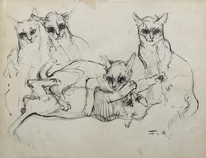 Frits van Eeden - Katten schetsen kopen? Bied vanaf 120!