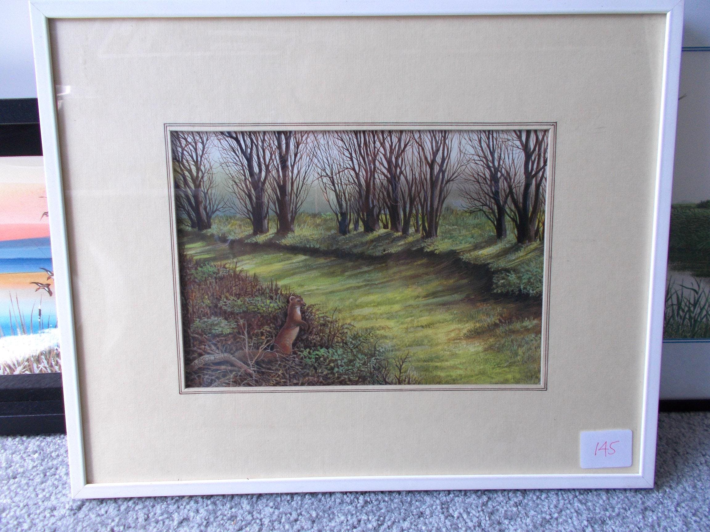 Ari Stolk - Boommarter in de Scheelhoek kopen? Bied vanaf 75!