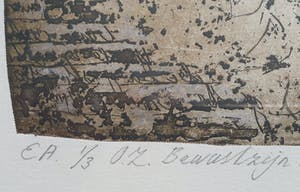 Jasper van der Wel - EA O.Z. Bewustzijn kopen? Bied vanaf 75!