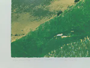 Marian Plug - Paard in Wiltshire, zeefdruk kopen? Bied vanaf 50!