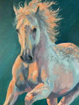 Niet of onleesbaar gesigneerd - paard in galop kopen? Bied vanaf 1!