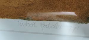 Liesbeth Rahder - Tooi II kopen? Bied vanaf 35!