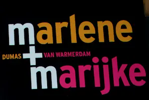 Marlene Dumas - 3 boeken: Suspect/Electa kopen? Bied vanaf 79!