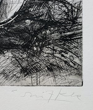 Willem Snitker - Paard in woest landschap, aquatint ets kopen? Bied vanaf 50!