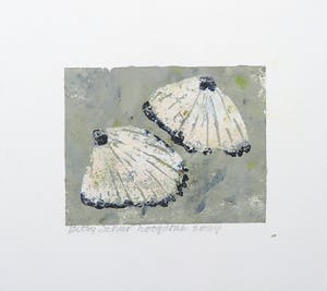 Betty Scheer - Linosnede, Schelpen kopen? Bied vanaf 70!