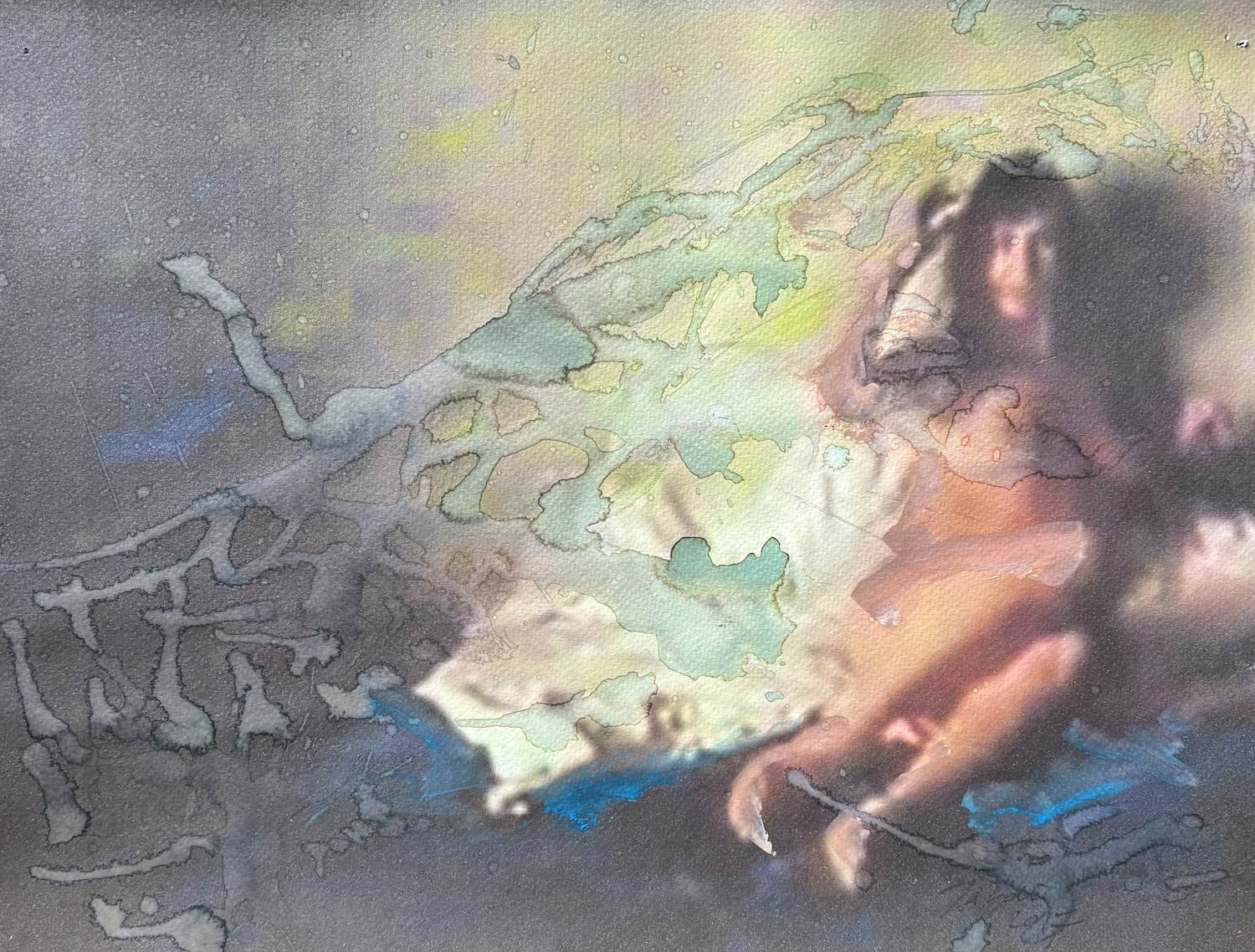 Martin Sjardijn - Isabel-R.6 kopen? Bied vanaf 40!