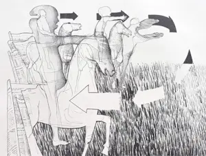 Aat Verhoog - Mannen met paarden, litho kopen? Bied vanaf 40!