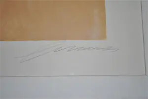 Eugène Brands - Zeefdruk - oplage V/XX - ingelijst kopen? Bied vanaf 450!