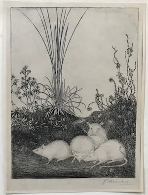 Jan Mankes - Originele Heliogravure 4 Muizen 1923 kopen? Bied vanaf 1!
