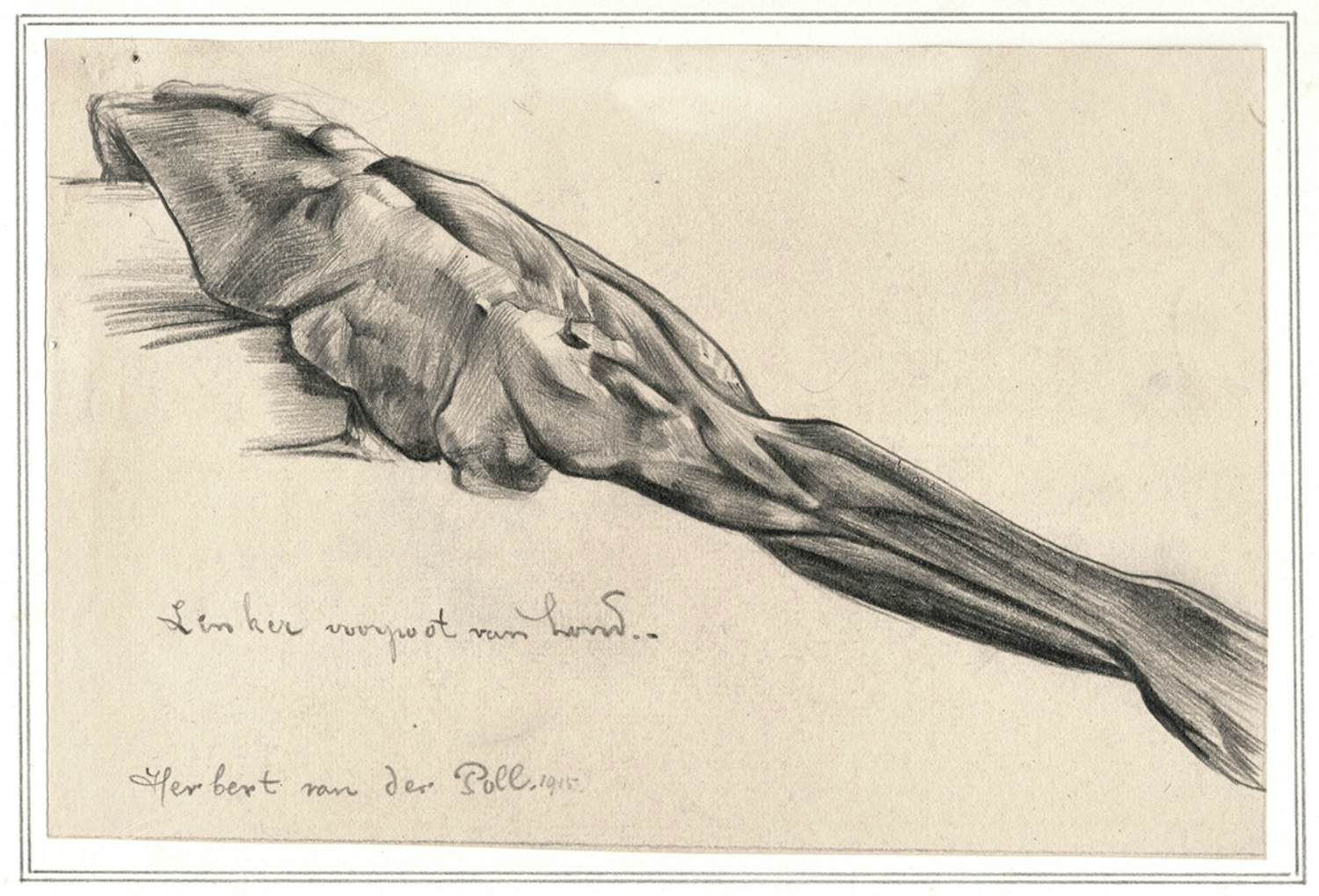 Herbert van der Poll - Linker voorpoot van hond (1915) kopen? Bied vanaf 40!