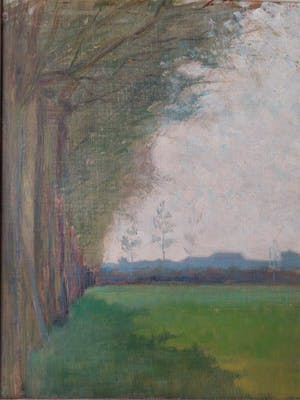 Frederika Broeksmit - Bomenrij kopen? Bied vanaf 40!