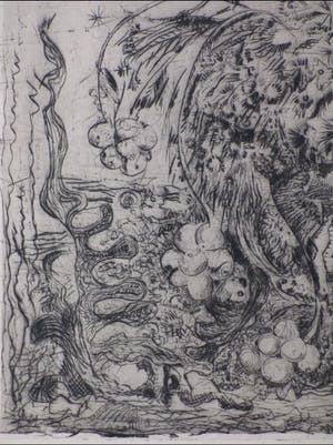 Willy Hagenbeek - Bloemen en planten - Ets kopen? Bied vanaf 1!