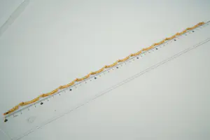 15 - door Björn Weckström voor Lapponia ontworpen 14Krt geelgouden halssierraad kopen? Bied vanaf 1690!