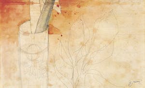 Bruno Bruni - AMARYLLIS Handgesigneerde kleurenlitho, vanaf € 1. kopen? Bied vanaf 1!