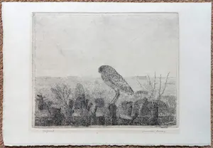 Charles Donker - Steenuil, ets (zeldzaam) kopen? Bied vanaf 450!