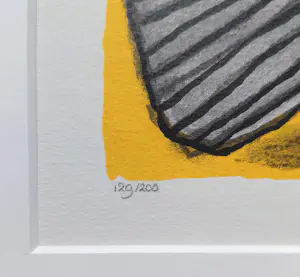 Corneille - Oiseaux, zeefdruk (netjes ingelijst) kopen? Bied vanaf 250!