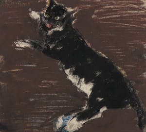 Wim Steijn - Krijttekening, Liggende poes kopen? Bied vanaf 1!