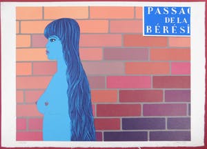 Felix Labisse - Passao de la Bérési kopen? Bied vanaf 35!