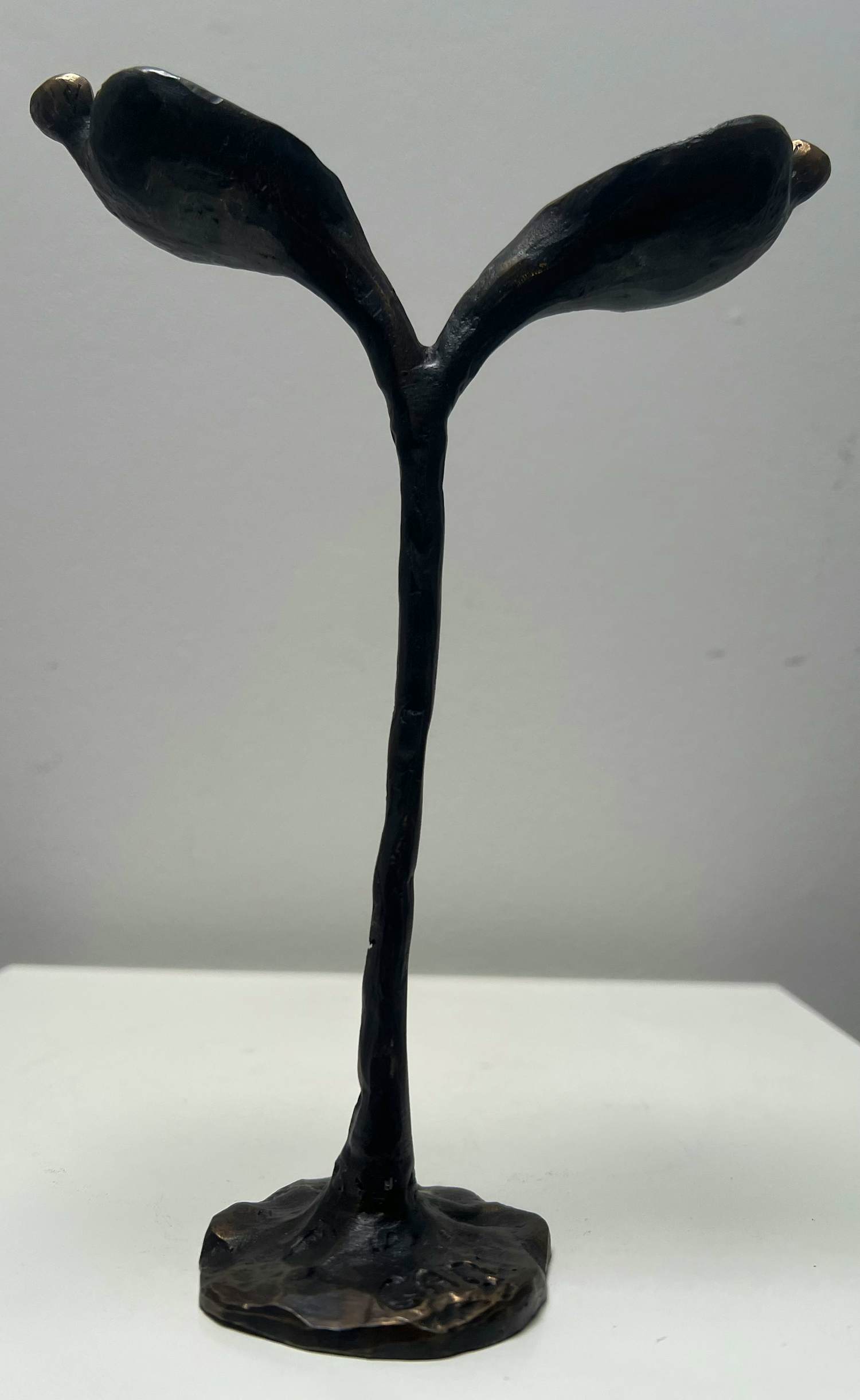 Corry Ammerlaan - handgesigneerde sculptuur | 'De tulp' kopen? Bied vanaf 20!