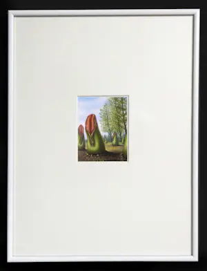 Jaap Luteyn - Vleesetende planten. kopen? Bied vanaf 125!