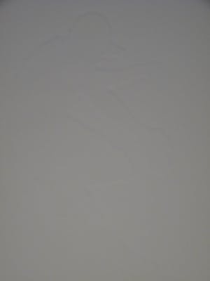 Leentje Linders - HE IS MAKING A HOMERUN (part one) kopen? Bied vanaf 45!