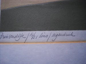 Harr Scheffer - Karakteristiek Litho Zeer bep. Oplage "Landschap Prinsendijk" gesigneerd kopen? Bied vanaf 10!