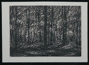 Paulien Wittenrood - Ets, Zonlicht in het bos I kopen? Bied vanaf 35!