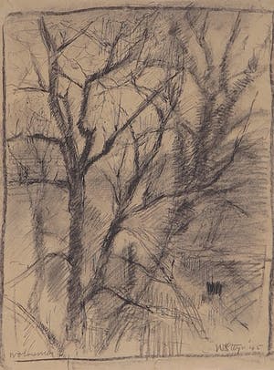 Wim Steijn - Pen en krijttekening, Wormerveer kopen? Bied vanaf 1!