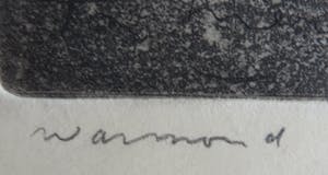 Ton Meyer - Waterplas bij Warmond kopen? Bied vanaf 15!