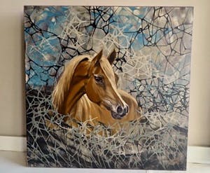 Valentin Bakardjiev - Horse - In onnavolgbare fluweelzachte kleurstelling - Nieuwwaarde €4.500,- kopen? Bied vanaf 1!