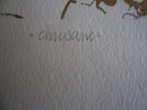 Astrid van Leest - Kleuren ets, Titel, "Chrysant". kopen? Bied vanaf 15!