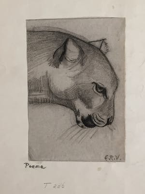 Engelien Reitsma-Valenca - Acht tekeningen van dieren in potlood of zwart krijt kopen? Bied vanaf 50!