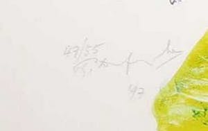 Pieter Defesche - Litho op papier, Zonder titel - Groot kopen? Bied vanaf 1!